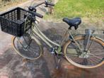 Cortina Transport U4, Ophalen, Cortina Transport U4, Handrem, 53 tot 56 cm