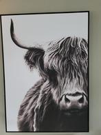 Schotse Hooglander Print, Huis en Inrichting, Ophalen of Verzenden, Zo goed als nieuw, Print, Minder dan 50 cm