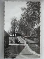RAVENSTEIN     Doolhof, Verzenden, 1940 tot 1960, Ongelopen, Noord-Brabant
