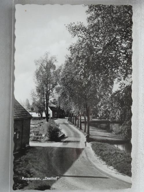 RAVENSTEIN     Doolhof, Verzamelen, Ansichtkaarten | Nederland, Ongelopen, Noord-Brabant, 1940 tot 1960, Verzenden