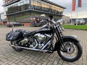 Harley-Davidson FLSTSC SPRINGER FLSTS FXSTS (bj 2005) beschikbaar voor biedingen