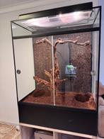 Terrarium, Dieren en Toebehoren, Ophalen, Zo goed als nieuw