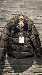 Moncler jas, Kleding | Heren, Jassen | Winter, Moncler, Maat 48/50 (M), Zwart, Nieuw