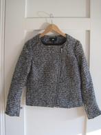 jasje. H&M. Mt 36. Gevoerd.Ritsje in de mouwen. Lengte 52 cm, H&M, Zwart, Ophalen of Verzenden, Zo goed als nieuw