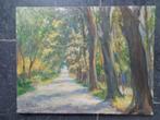 Olieverf op doek: Bomenlaantje.  M. Willems 45 x 35 cm, Antiek en Kunst, Kunst | Schilderijen | Klassiek, Ophalen of Verzenden