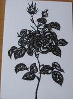 knipkunst - knipwerk - roos uit Oostenrijk - nieuw, Ophalen of Verzenden, 1960 tot 1980, Ongelopen, Overige thema's