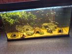 Aquarium, Dieren en Toebehoren, Ophalen, Zo goed als nieuw, Leeg aquarium