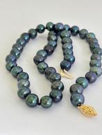 Prachtige Parel Ketting Tahitiaanse Peacock Groene Parels, Ophalen of Verzenden, Nieuw, Goud