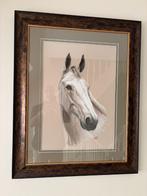 Pastel paardenhoofd (schimmel), Ophalen