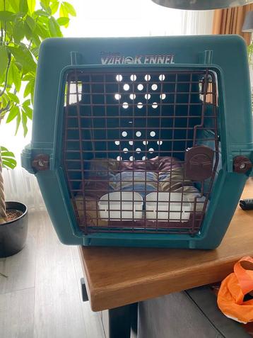 Te koop hondenkennel beschikbaar voor biedingen