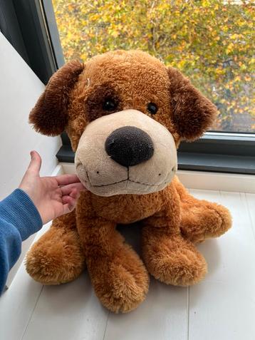 Grote hond knuffel beschikbaar voor biedingen