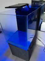 Blue marine reef 60 aquarium. Pomp alleen vernieuwen, Dieren en Toebehoren, Ophalen, Gebruikt, Leeg aquarium