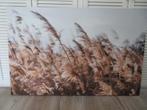 Canvas schilderij, Ophalen, Zo goed als nieuw, Schilderij, 100 tot 125 cm