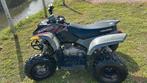 Quad Polaris Phoenix 200CC uit 2024., Ophalen of Verzenden, Gebruikt, Overige typen