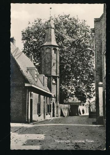 Harderwijk - Linnaes Toren [KRST005-5399 beschikbaar voor biedingen