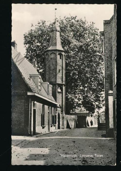 Harderwijk - Linnaes Toren [KRST005-5399, Verzamelen, Ansichtkaarten | Nederland, Gelopen, Gelderland, 1960 tot 1980, Verzenden