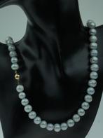 Grijze zoetwater parel robuuste dames ketting 14k slot goud, Ophalen of Verzenden, Goud, Ketting, Met edelsteen