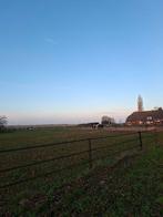 Stalling en/of 24/7 paddock met weidegang aangeboden, Dieren en Toebehoren, Stalling en Weidegang, Weidegang, 2 of 3 paarden of pony's