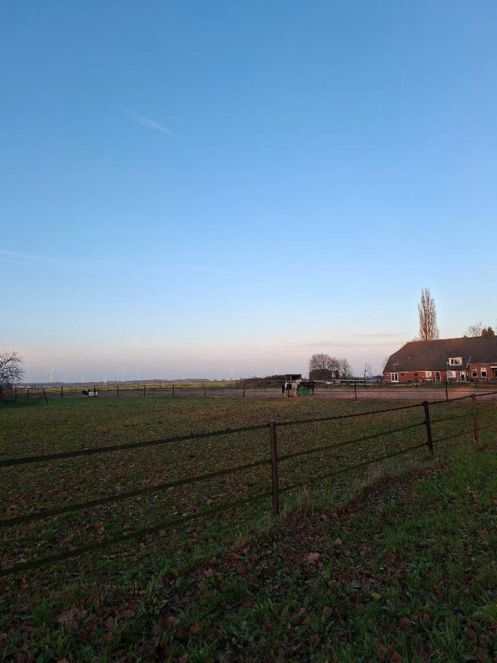 Stalling en/of 24/7 paddock met weidegang aangeboden, Dieren en Toebehoren, Stalling en Weidegang, Stalling, Weidegang, 2 of 3 paarden of pony's