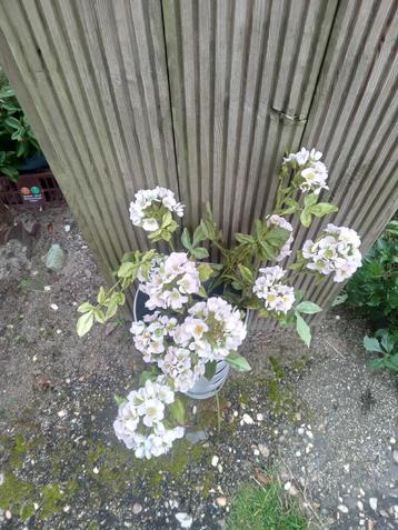 Kunst bloemen beschikbaar voor biedingen