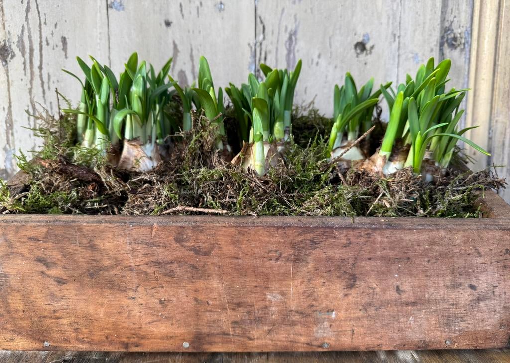 Houten bakje opbergbakje, Antiek en Kunst, Ophalen of Verzenden