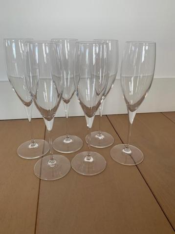 Champagneglazen (6 stuks) beschikbaar voor biedingen
