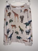 H&M Trui Dierenprint Maat 122/128, Gebruikt, Trui of Vest, H&M, Ophalen of Verzenden
