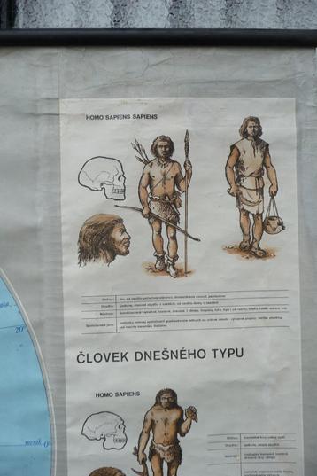 Werldkaart van der vroegste geschiedenis op aarde beschikbaar voor biedingen