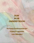 Workshop familieopstellingen, Boeken, Ophalen