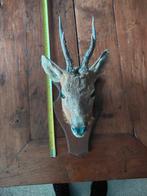 Oude Hertenkop Wanddecoratie, Antiek en Kunst, Ophalen of Verzenden