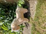 Crafty pony met dekje en halster., Kinderen en Baby's, Ophalen, Zo goed als nieuw