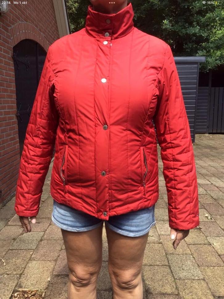 Rood Tommy Hilfinger winterjack met risen en steekzakken, Kleding | Dames, Jassen | Winter, Gedragen, Maat 46/48 (XL) of groter