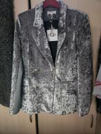 Josh v  crushed velvet Blazer nieuw xl, Kleding | Dames, Jassen | Winter, Ophalen of Verzenden, Nieuw, Maat 42/44 (L), Grijs