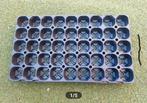 Planten kweektray 45 gaats 9 x 5 PS € 0,50 st, Ophalen of Verzenden, Nieuw, Overige typen