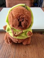 Capybara Sleutelhanger met Hoodie, Ophalen of Verzenden, Nieuw, Overige typen