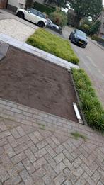 Gratis op te halen 15 m2 Carex siergras, Ophalen, Siergrassen, Halfschaduw
