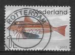 2017, Leven in de Noordzee, Rode Poon [3551] (K1208) TAND LO, Ophalen of Verzenden