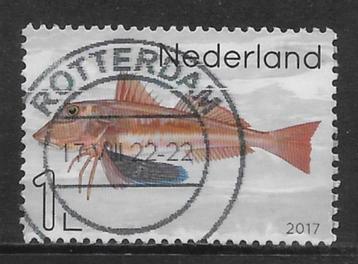 2017, Leven in de Noordzee, Rode Poon [3551] (K1208) TAND LO beschikbaar voor biedingen