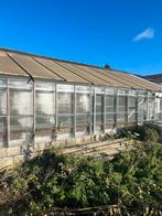 Dakconstructie met polycarbonaat panelen, Ophalen, Kunststof, Gebruikt, Overige typen