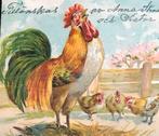 1916 kraaiende haan  kippen eieren pluimvee pasen, Verzamelen, Ansichtkaarten | Themakaarten, Gelopen, Overige thema's, Voor 1920