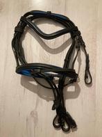 Hoofdstel met teugels maat Shetland blauw, Ophalen of Verzenden, Nieuw, Dressuur