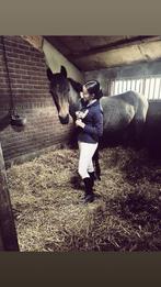 Verzorgpony gezocht, bijrijder aangeboden, Dieren en Toebehoren, Ophalen, Zo goed als nieuw