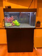 Juwel RIO 125 + Juwel Helialux Spectrum + onderkast, Dieren en Toebehoren, Ophalen, Gebruikt, Leeg aquarium