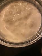 Melkkefir kefir kefirkorrels, Diversen, Levensmiddelen, Ophalen of Verzenden