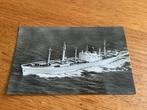 S84) Rotterdamsche Lloyd MS MAASLLOYD, Verzamelen, Scheepvaart, Ophalen of Verzenden, Zo goed als nieuw, Kaart, Foto of Prent