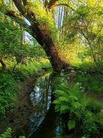 Wandel vriendinnen gezocht