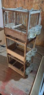 Zangkooitjes, Ophalen of Verzenden, Gebruikt, Hout, Vogelkooi