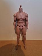 Hot toys TTM20 1/6 muscle body, Verzamelen, Poppetjes en Figuurtjes, Ophalen, Zo goed als nieuw
