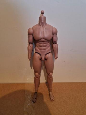 Hot toys TTM20 1/6 muscle body beschikbaar voor biedingen