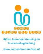 Bijles en huiswerkbegeleiding Velserbroek e.o. of online, Privéles, Bijles